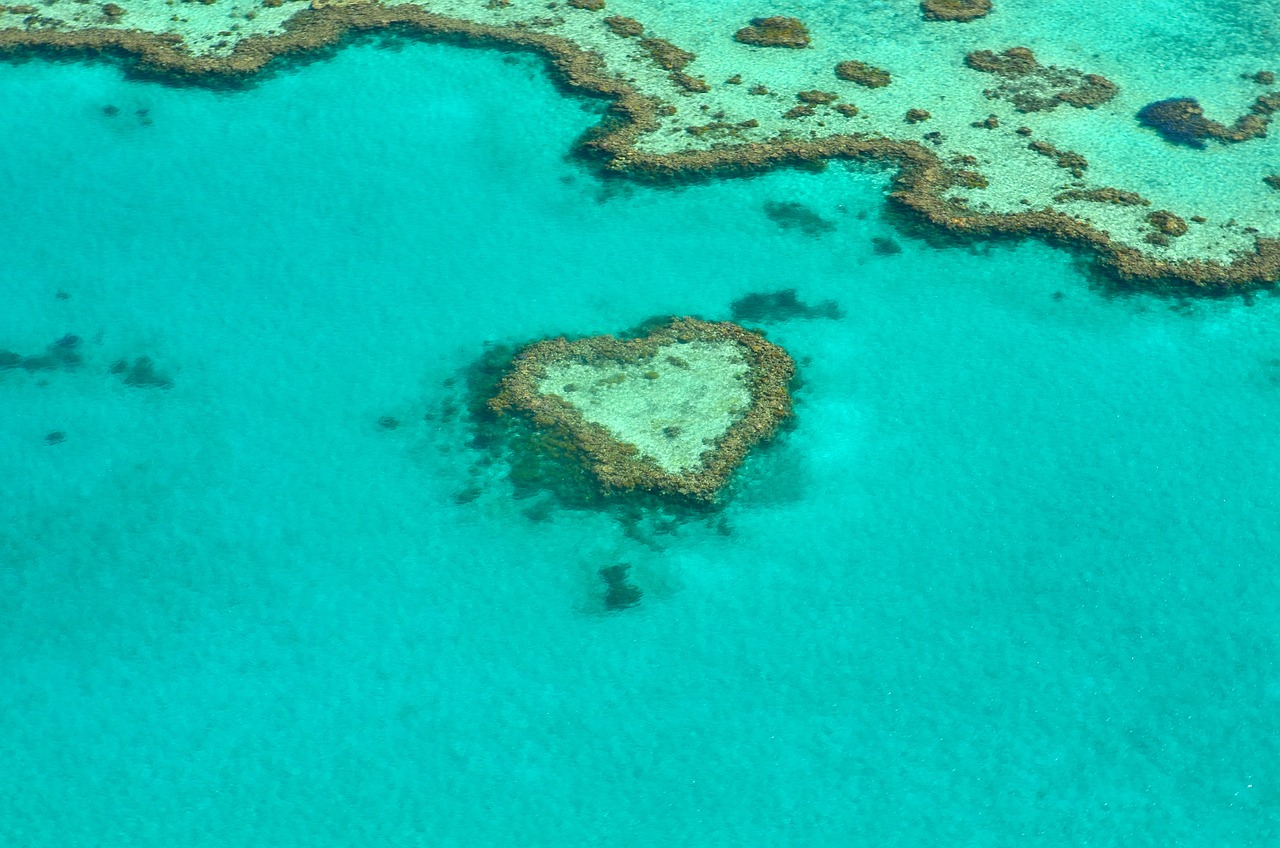 Love heart reef